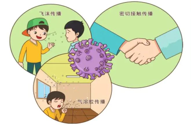 儿童肺炎支原体治疗方案_儿童支原体肺炎的治疗方法_小儿肺炎支原体怎么治