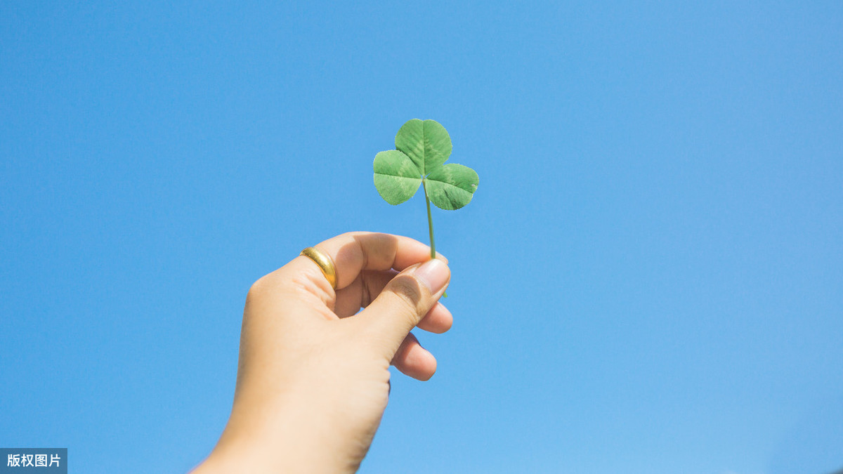 微云查看记录_微云文件浏览记录_微云怎么看最近浏览记录