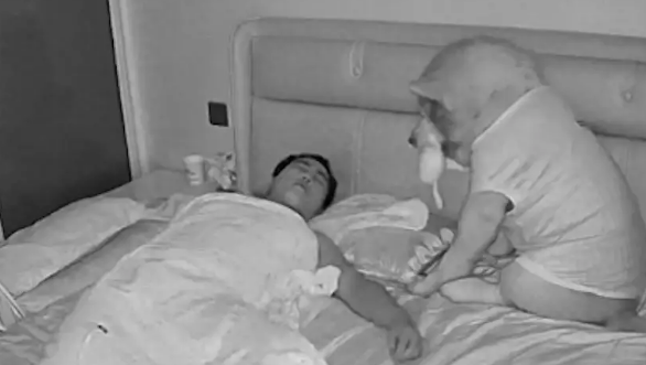 半夜网友醒来，睁眼一看发现狗狗正坐在床上盯着自己