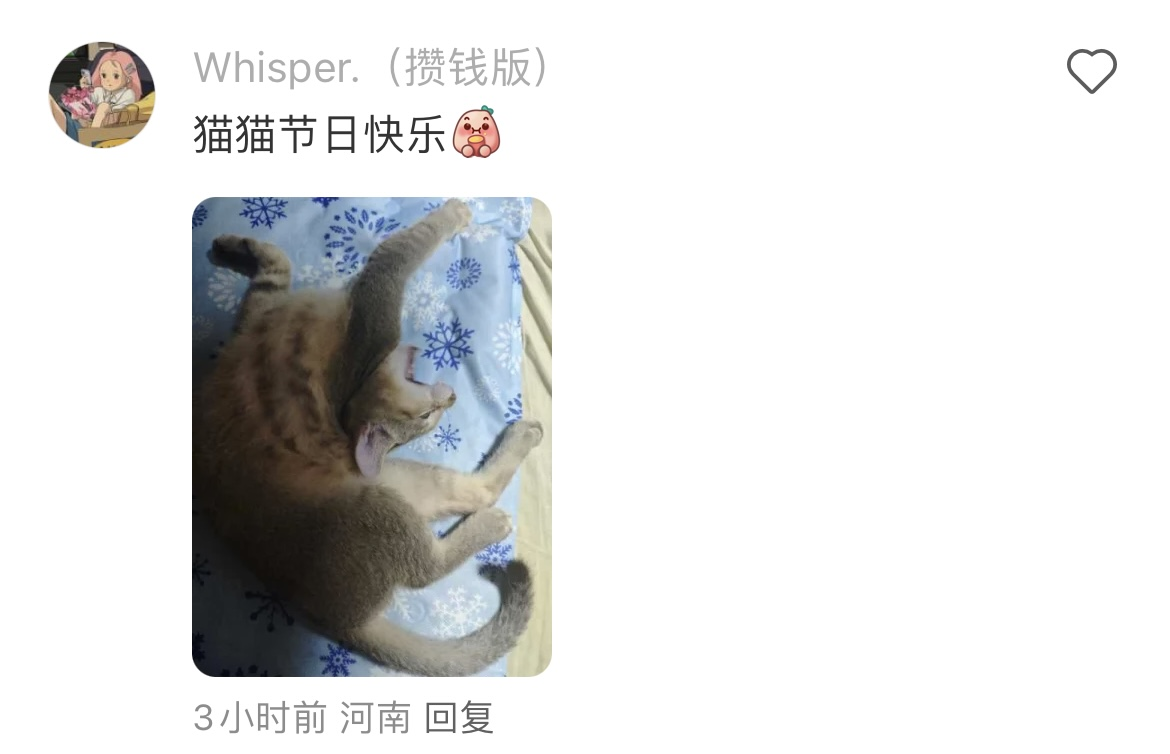 猫咪也有自己的节日，祝所有的猫咪节日快乐！