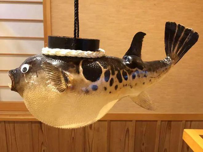 日本丸九公司_日本丸九官网_日本丸九饵料好用吗