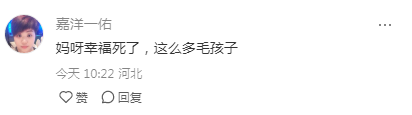 霍思燕晒出自家养的9只宠物狗！超有爱的一幕！