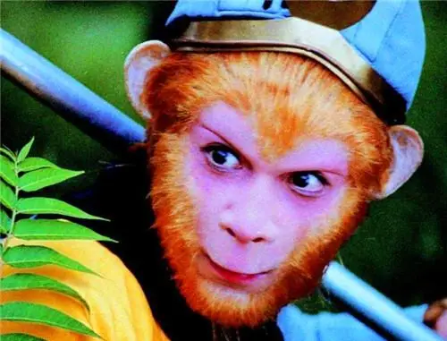 身份证号码和真实姓名加证件号_真实身份证号码加名字_真实名字和证件号码