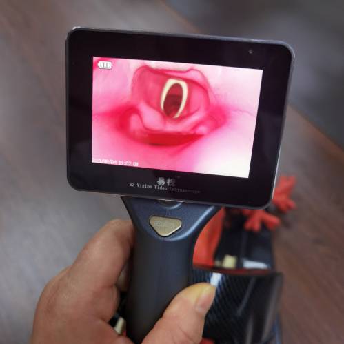 书籍借阅提示语_书籍温馨借阅提示语_借阅书籍温馨提示