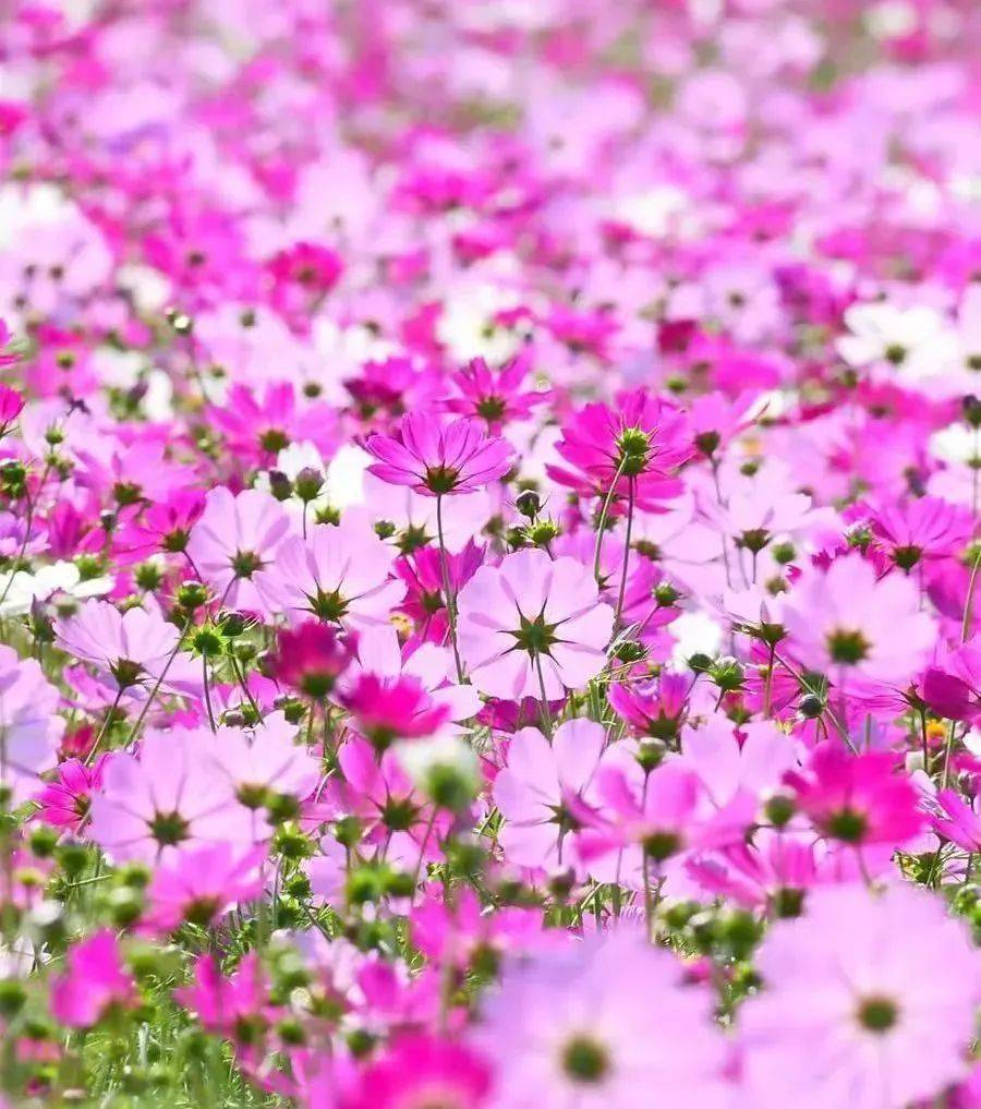 richtextbox 行_richtextbox 行_richtextbox 行