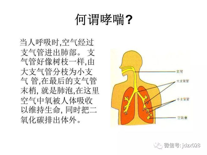 哮喘严重性评估方法有哪些_哮喘严重性评估方法_哮喘的严重性