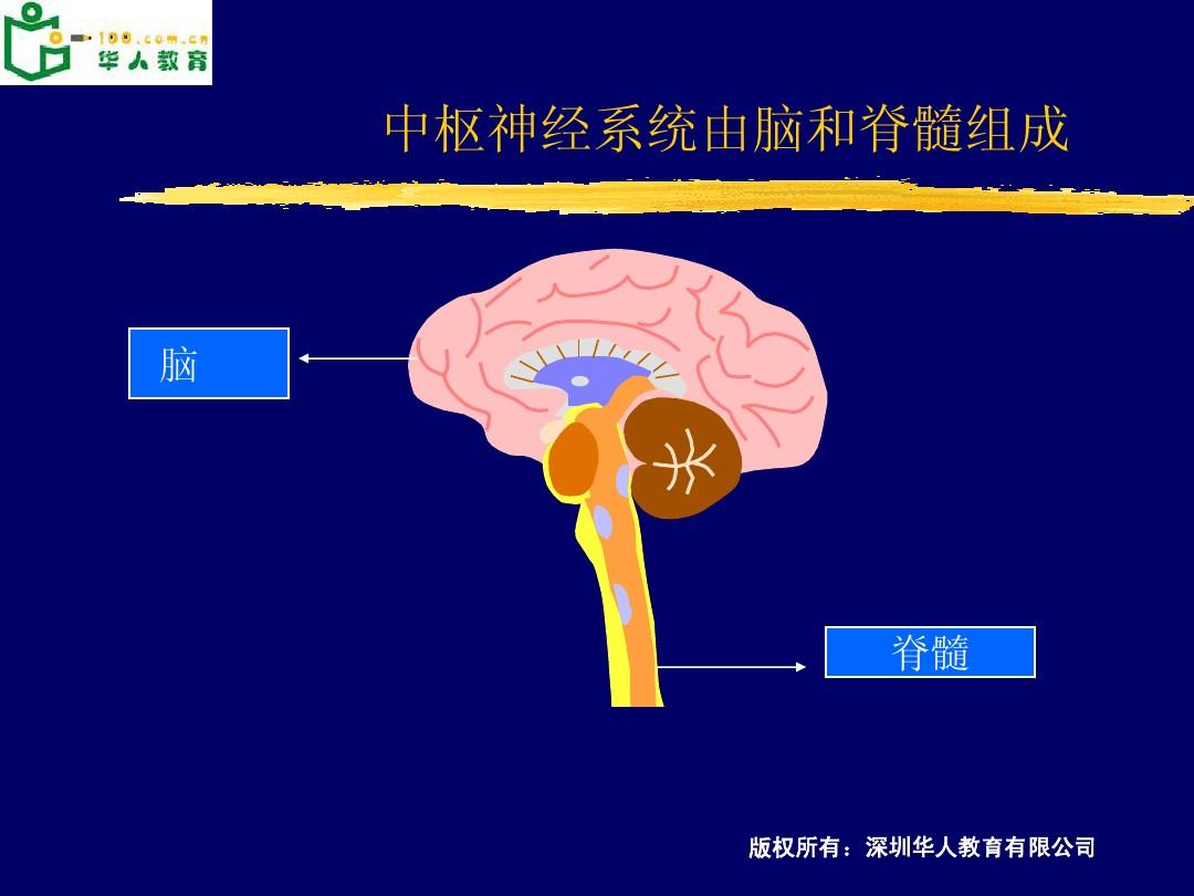 集中控制型系统的控制设计_集中控制系统结构_集中结构控制系统的特点