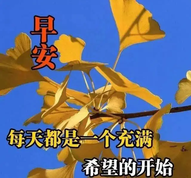 秘钥开箱攻略_秘钥开箱兑换码_win server 2024 秘钥