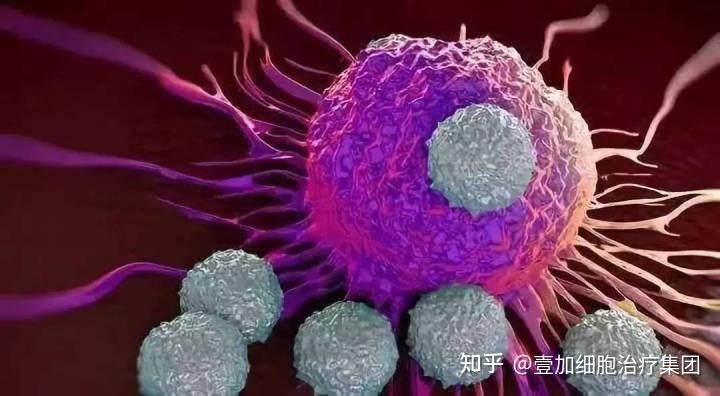 计算机病毒不可能侵入_计算机病毒是指能够侵入计算机_病毒计算机侵入可能的原因