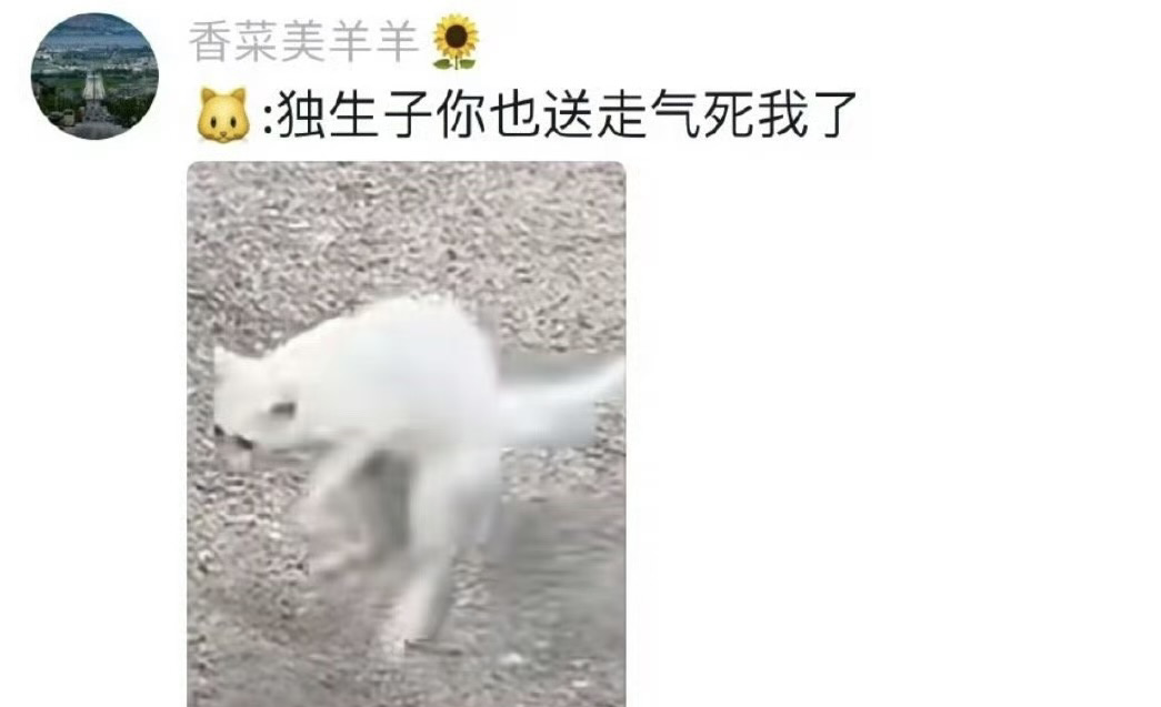 小猫：是你生的吗你就送？网友纷纷议论