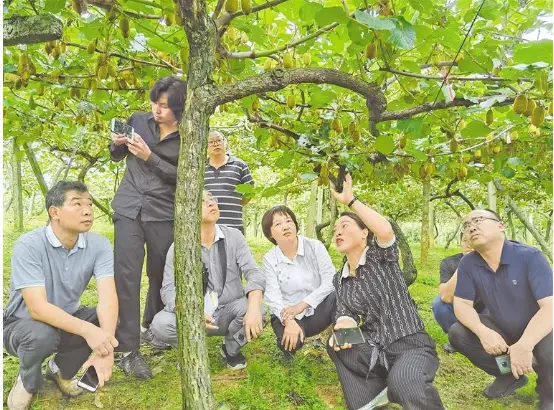 昆山软件园招聘_昆山思达软件_昆山学软件