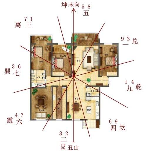 金虎仙人球常见病_金虎仙人球风水禁忌_金虎仙人球辟邪