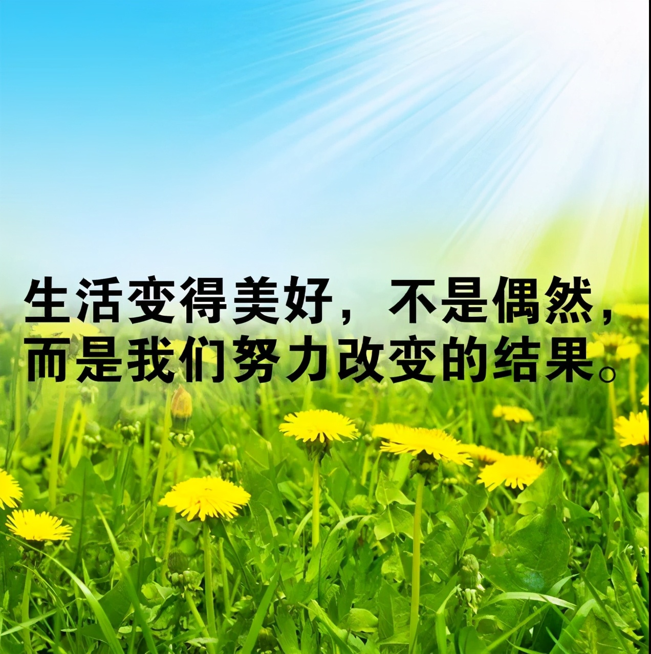 c16008课后测试100分_课后网测试课程_课后测试分层