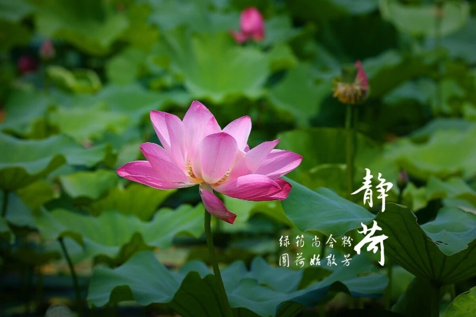 zero breeze_zero breeze_zero breeze