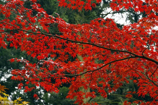 win10 0x80070570 u盘_win10 0x80070570 u盘_win10 0x80070570 u盘