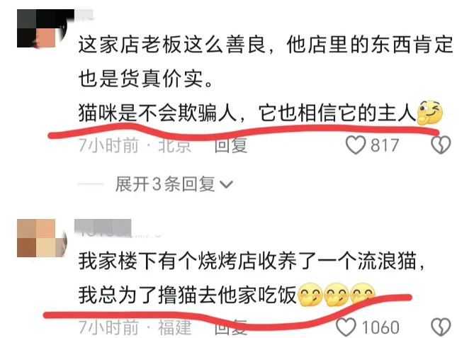 奇怪了！流浪猫被店主收编每天准时点名签到