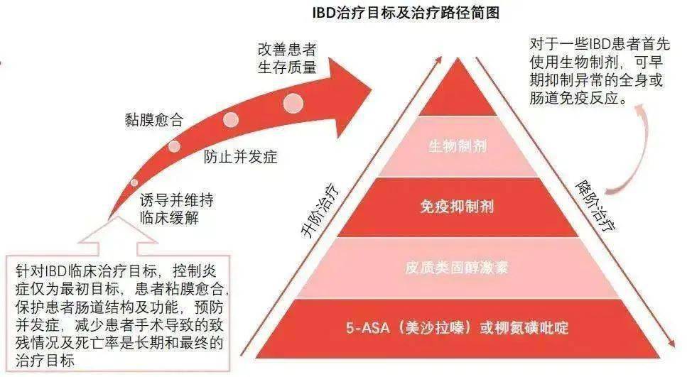 克罗恩病患者的护理ppt_克罗恩病教学查房_克罗恩病的护理要点