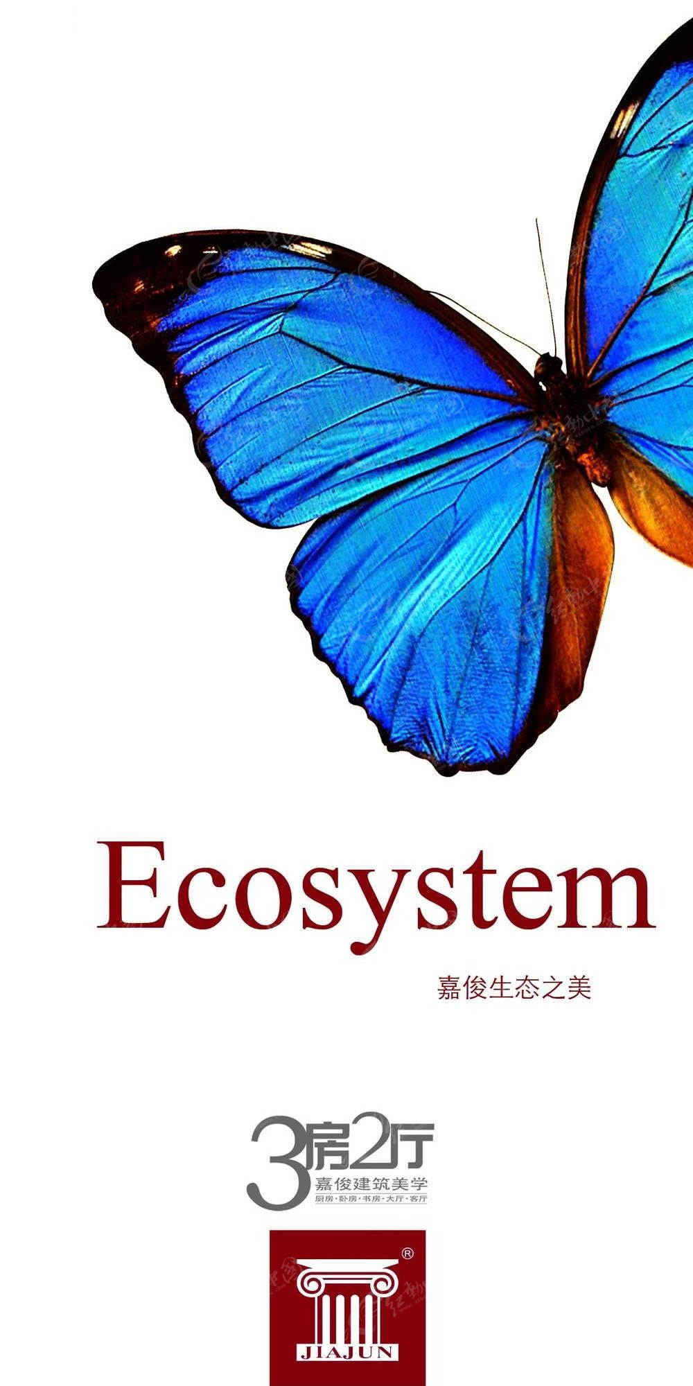 乐队队员名字怎么取_ecosystem乐队队员名字_乐队的名字的英文