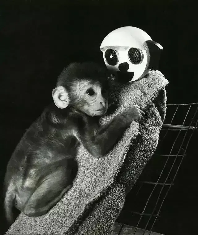 治疗胃病论坛社区_胃病病友论坛_胃病吧胃病论坛