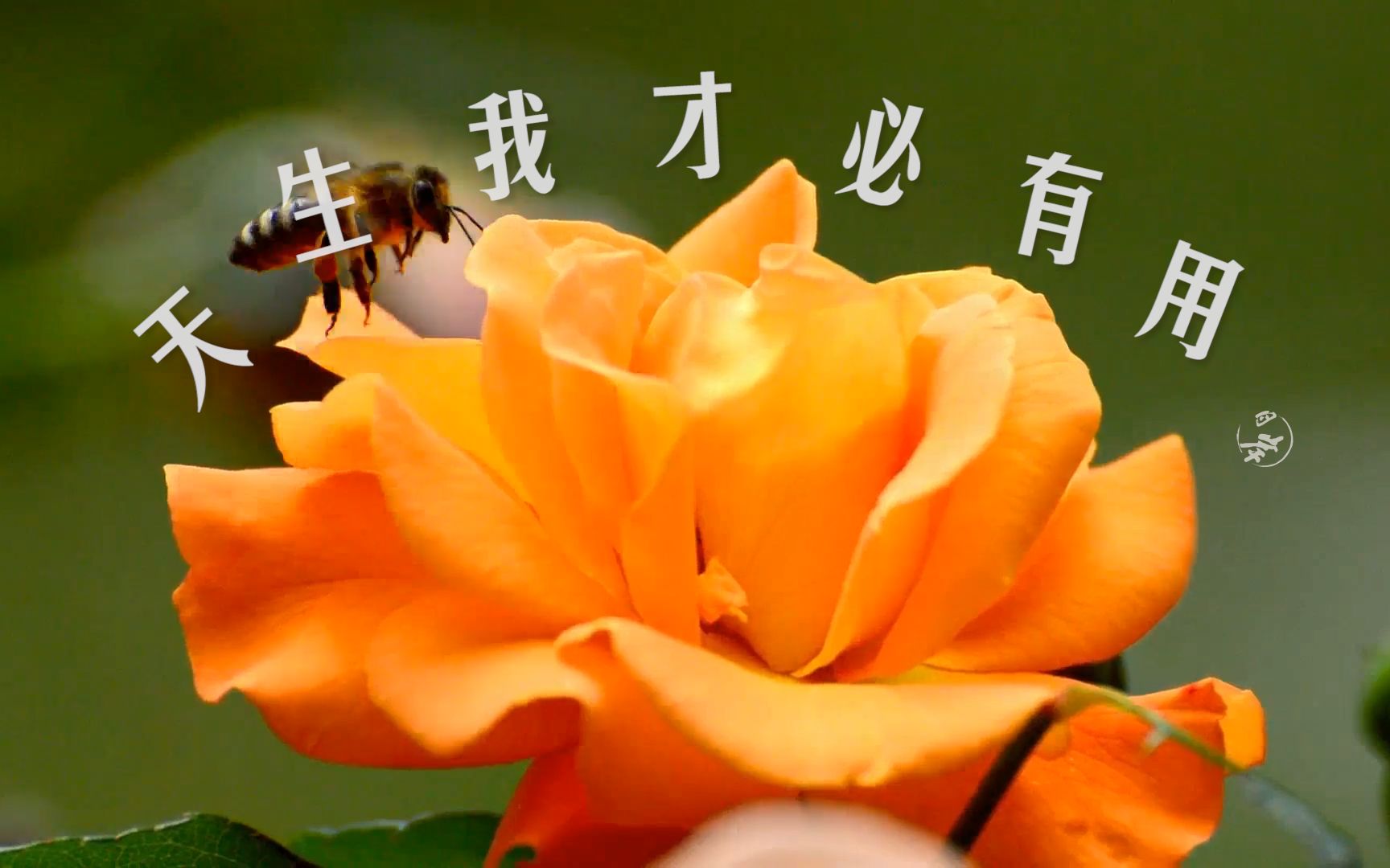 中国是现代化特征_中国是部金融史2天下之财_哔哩哔哩是中国的吗