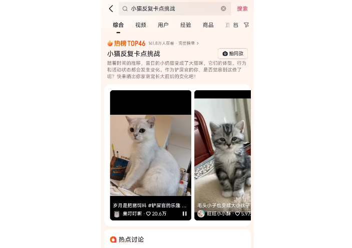 真好玩，小猫反复卡点挑战