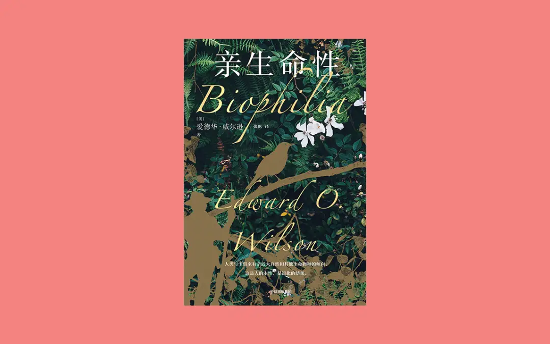 freebsd ip配置_配置是什么意思_配置电脑