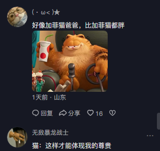 怎么办？此刻一直小猫轻轻碎掉了