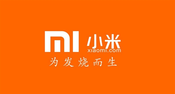 windows应用商店打不开_应用商店打开后就闪退怎么办_应用商店打开自动下载