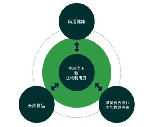 帝国企业站模板_帝国模板安装教程_帝国mip模板