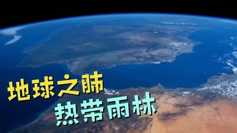 雨林xp sp3 序列号_雨林xp sp3 序列号_雨林xp sp3 序列号