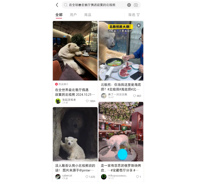 在全球最北餐厅偶遇寂寞的北极熊！