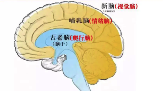 三坐标测量仪工作原理_坐标仪测量原理工作原理图解_坐标测量的原理和方法