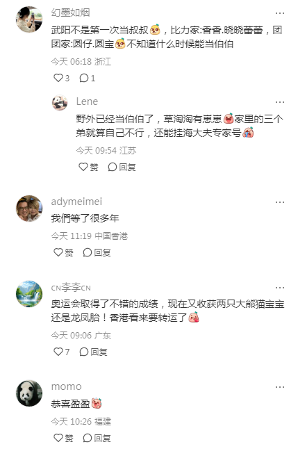 香港大熊猫“盈盈”喜迎龙凤胎，珍稀添丁引全城欢庆