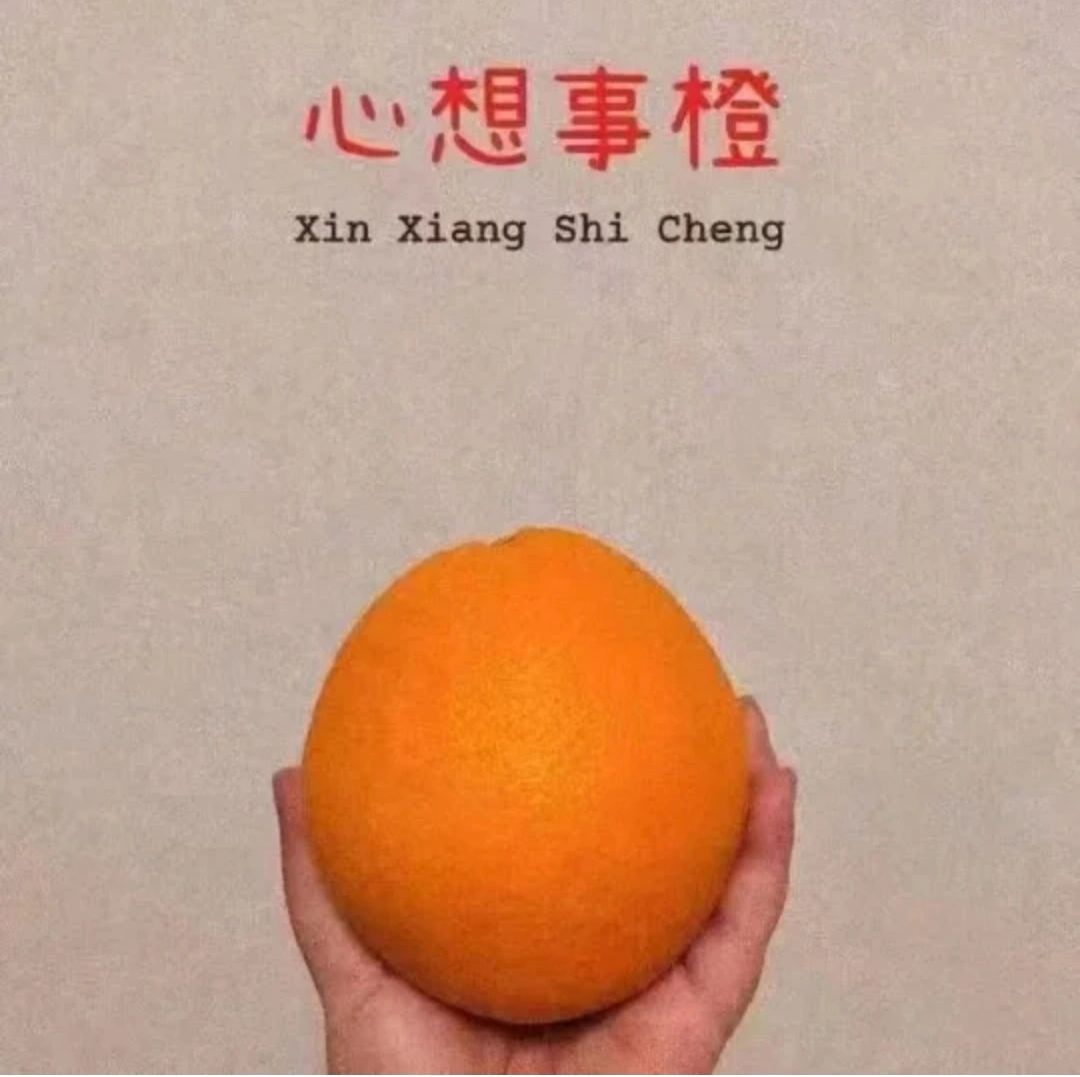 精华油怎么用才正确方法使用_easyrecovery使用方法_紧致液怎么用才正确方法使用