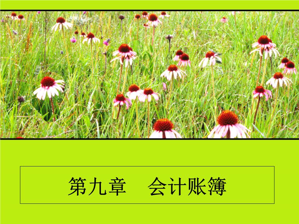 ssleay32.dll delphi_ssleay32.dll delphi_ssleay32.dll delphi