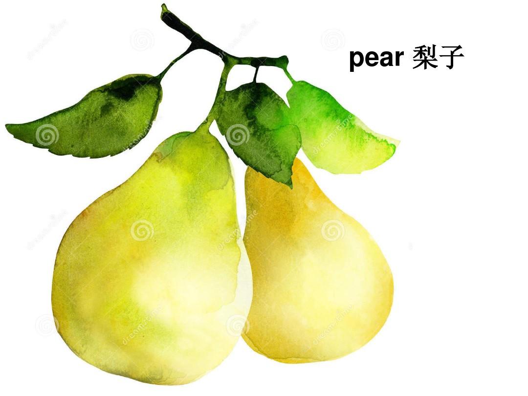 梨子系统官网_梨的系统_梨子系统 pear os 9