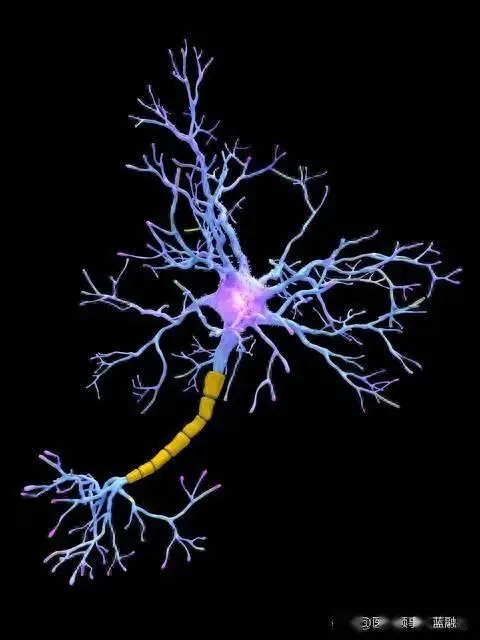 北京朝阳医院电话号码查询_北京朝阳医院联系方式_北京朝阳医院咨询电话