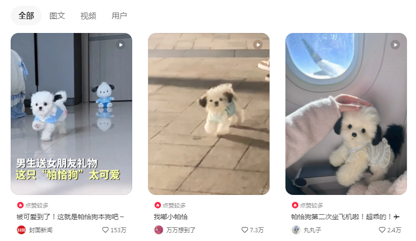 养到帕恰狗本狗了，妈耶好小好可爱好像玩偶！