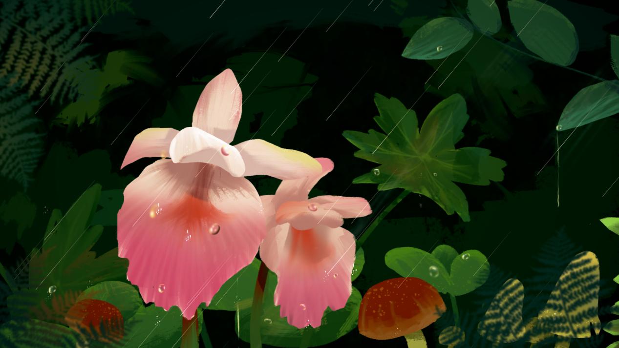 悸动画_悸动画_悸动画