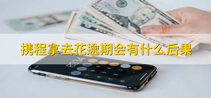 携程金融拿去花怎么还款,手动还款或是自动还款