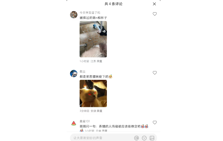世界破破烂烂 小猫越补越烂