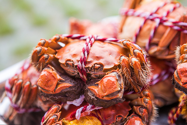 苏蟹阁人事部电话_苏州人力资源部_苏湖人力资源部