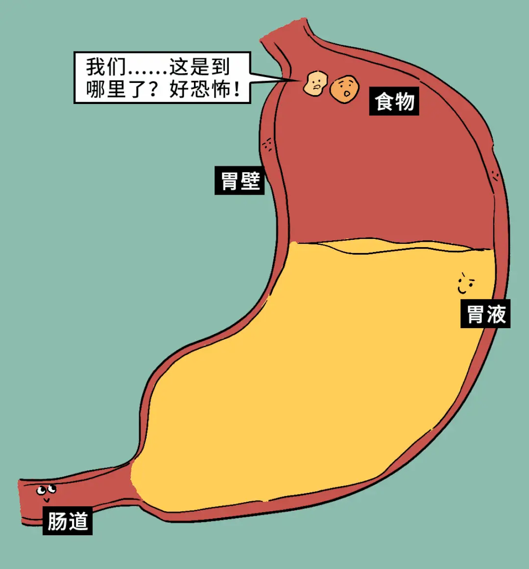 阴性慢性胃炎_慢性胃炎胃阴亏虚_胃阴不足型慢性胃炎