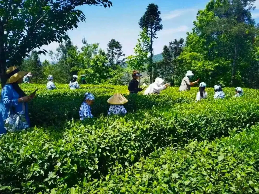 汇智学院官网_智汇云校学费贵不贵_智汇云校官网