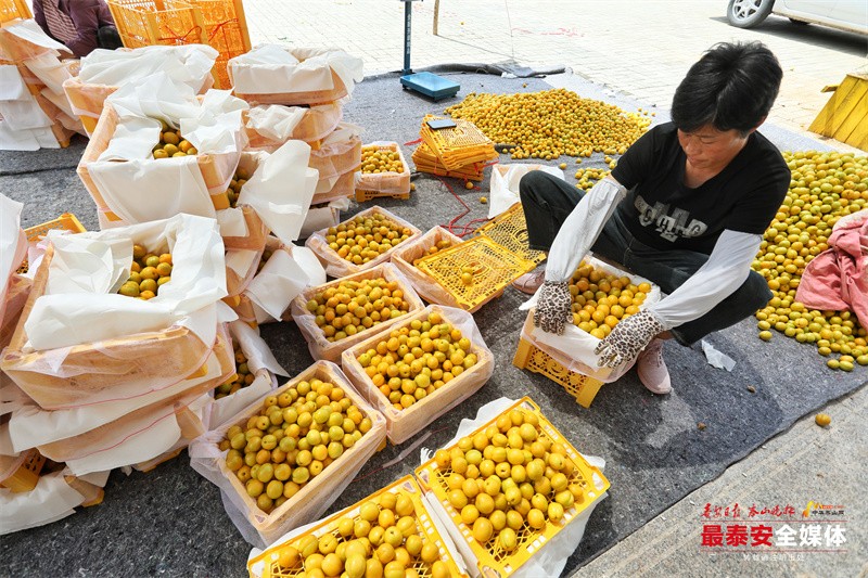 智汇云校 济南 华为_华为云智慧校园_华为智汇云运用商场