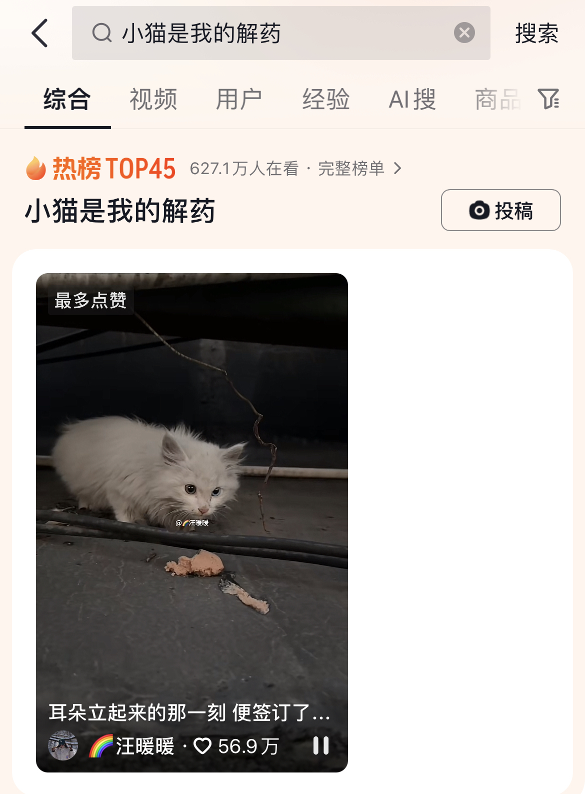 小猫是我的解药，双向救赎！