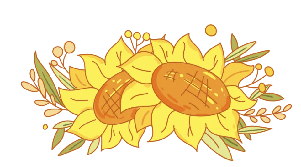 sysb.gov.cn_sysb.gov.cn_sysb.gov.cn