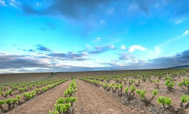 安装wine1.6_mac wine 安装_macwine下载