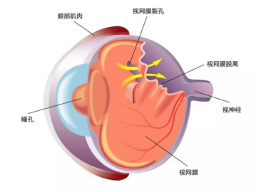 ecognition 培训_培训机构_培训学校机构