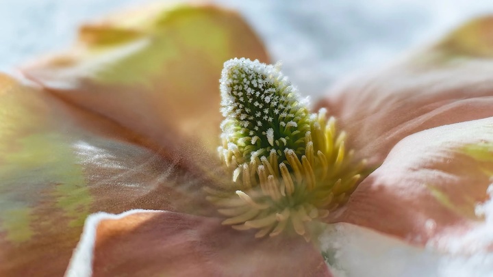 装黑苹果需要什么配置_台式机装苹果系统配置_给台式机安装苹果系统